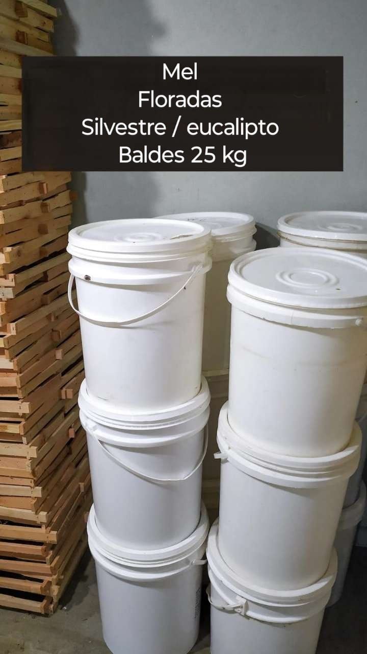 1b2356ba9f3a69f2